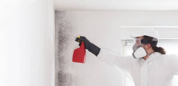 Best Mold Remediation for Specific Building Types in West Sand Lake, NY